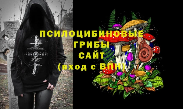 прущие крисы Алексеевка