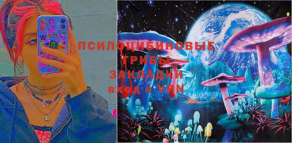прущие крисы Алексеевка
