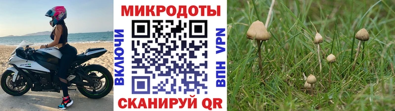 блэк спрут рабочий сайт  купить наркоту  Луза  Галлюциногенные грибы Psilocybe 